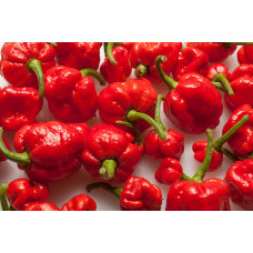 Насіння перцю Хабанеро Хот Скорпйонс Habanero Hot Scorpions надгострий