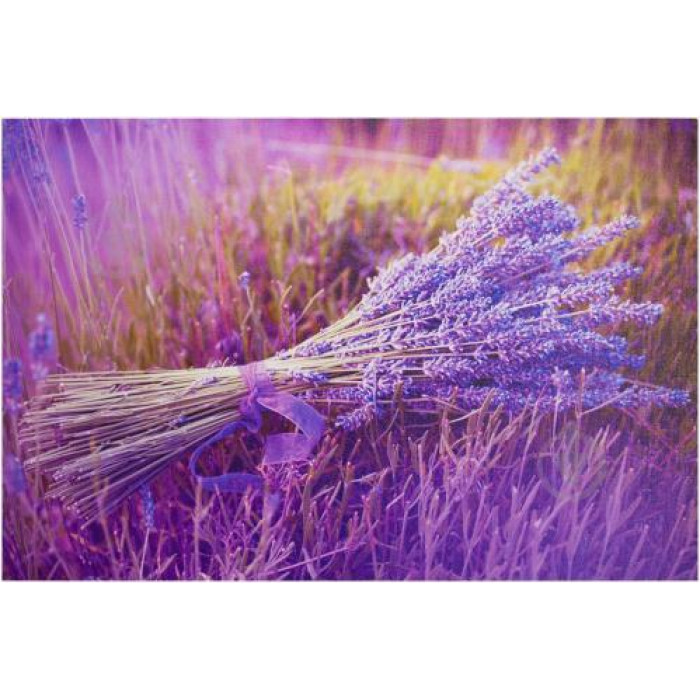 Лаванда семена Лаванда семена