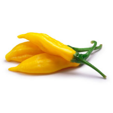 Семена перца Аджи Лимо Aji Limo Lemon Drop суперострый
