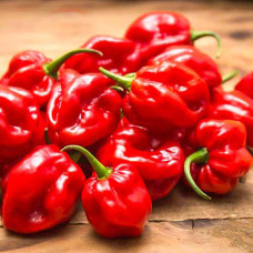 Семена перца Хабанеро Суринам Ред Habanero Surinam Red сверхострый