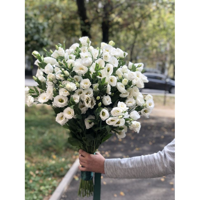 Насіння Еустома біле Whiteless Голландія