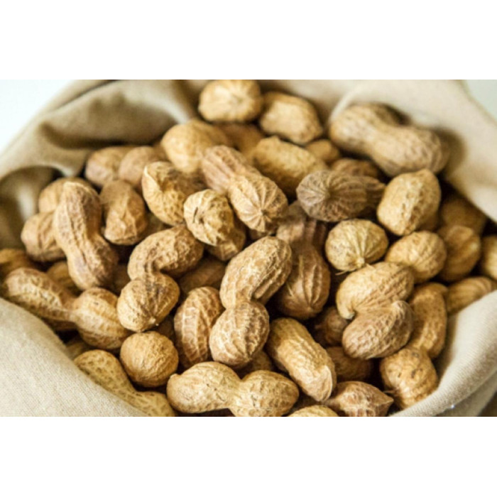 Арахіс насіння для посадки