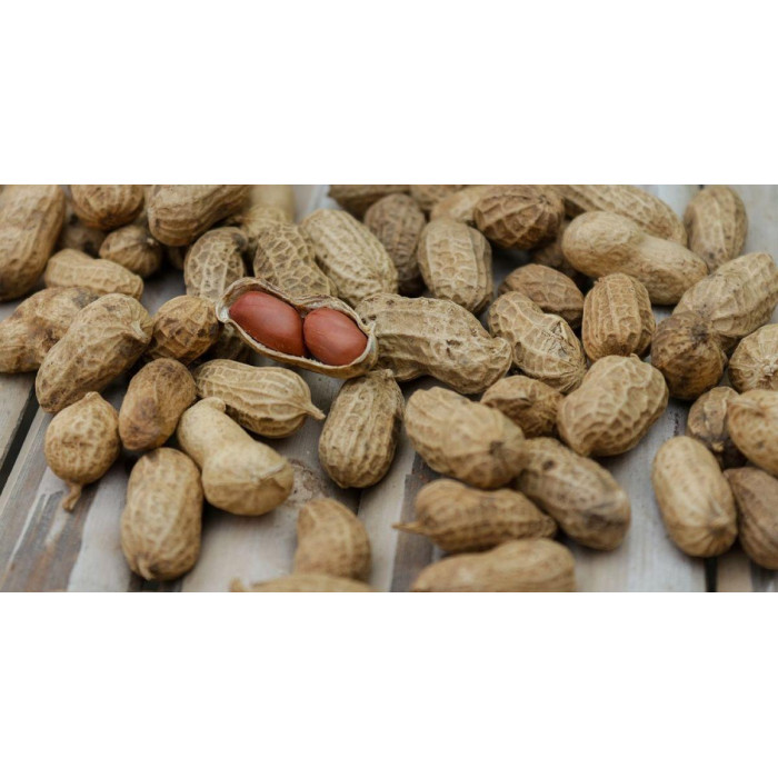 Арахіс насіння для посадки