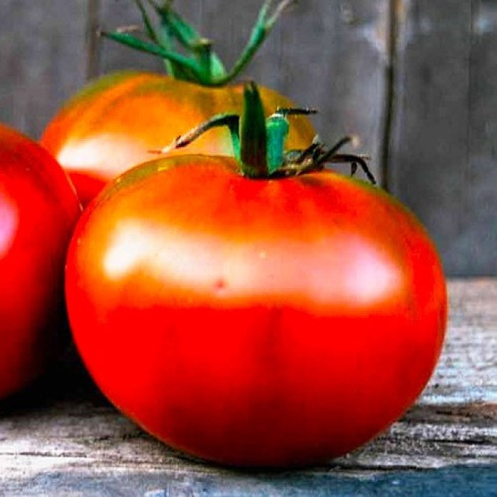 Семена томат Страдивари Голландия